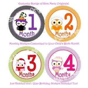 Aangepaste eerste seizoenen vakantie seizoensgebonden babymeisje of jongen maandelijkse mijlpaal groei Stickers schattige uil ontwerpen babydouche Phot cadeau