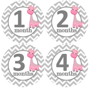 Baby maandelijkse mijlpaal groei Stickers roze met grijze dubbele punthaken giraffen kinderkamer thema MS838 Baby meisje douche cadeau Baby Foto Prop