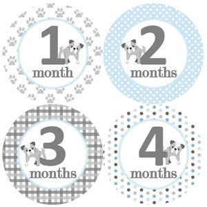 Baby maandelijkse mijlpaal groei Stickers in blauw grijs Bulldog Puppies Puppy honden poten hondje botten MS kinderkamer thema douche cadeau Baby Foto Prop