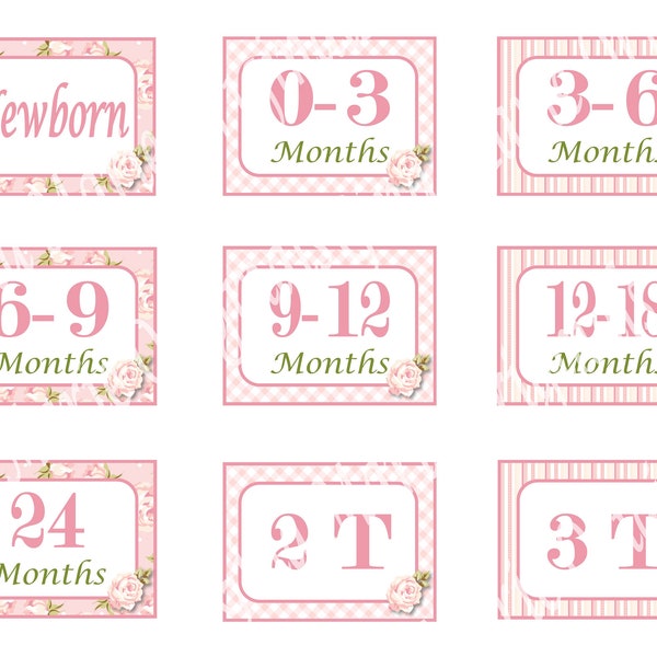 Baby Monthly Clothing Accessories Drawer Divider Stickers Tags Nursery Bin Organizers Girl Pink Shabby Floral - 2.75" x 2" UNCUT Sheets of 9