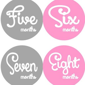 Baby Monthly Milestone Growth Stickers Pink Grey Nursery Theme Baby ...