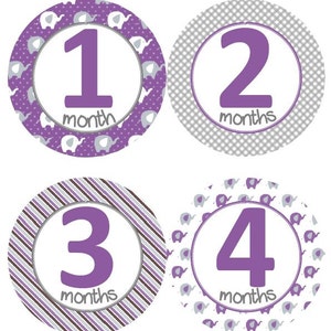 Maandelijkse mijlpaal groei Stickers baby paars en grijs olifant kinderkamer thema MS205 Baby douche cadeau Baby Foto Prop