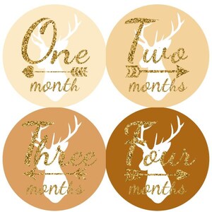 Baby maandelijkse mijlpaal groei Stickers Gold Glitter Naturals Ombre Tribal herten pijlen kinderkamer thema MS808 Baby douche Gift foto Prop