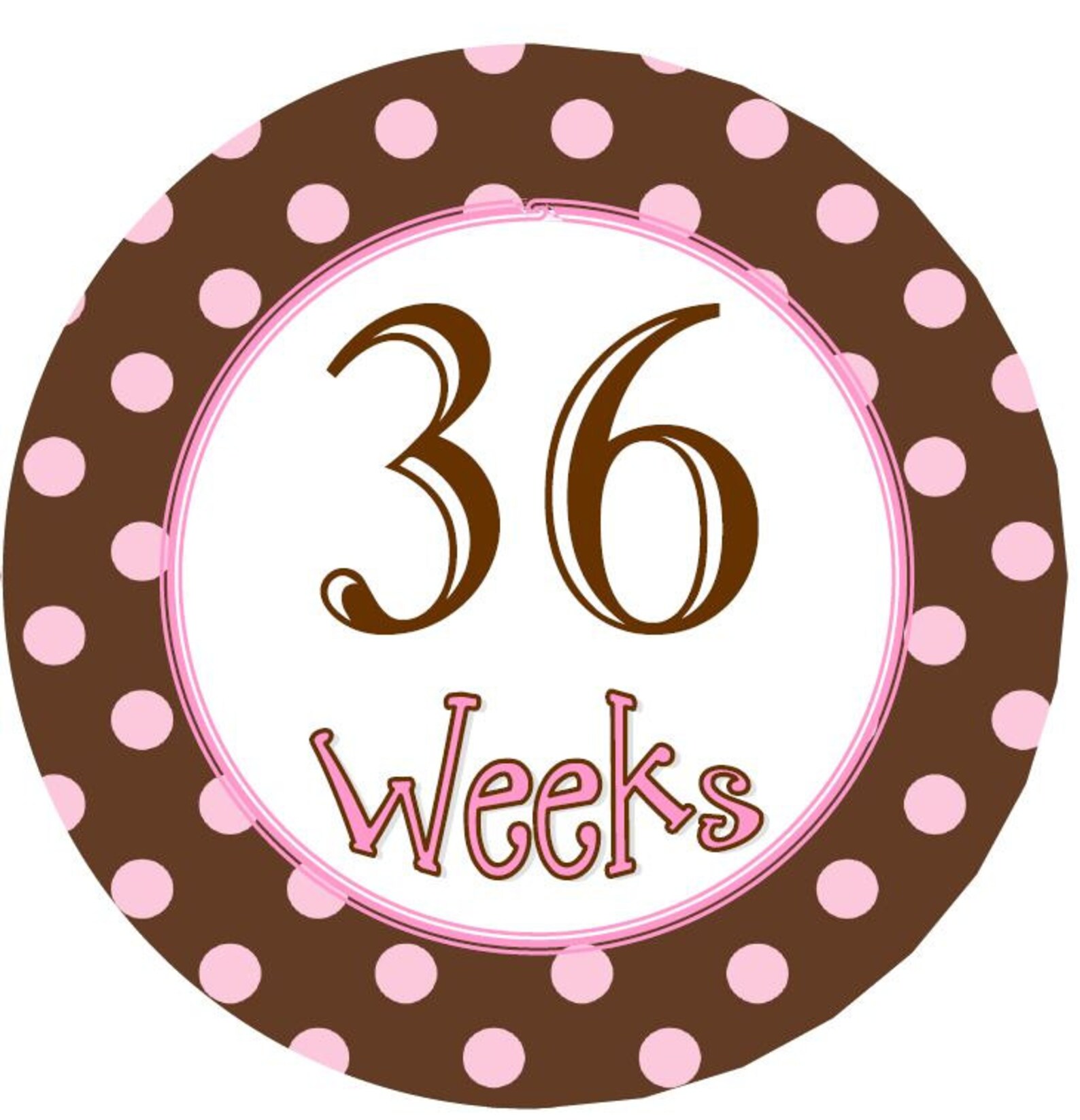 12 Weekly Pregnancy Belly Bump Stickers Pink With Brown Polka - Etsy
