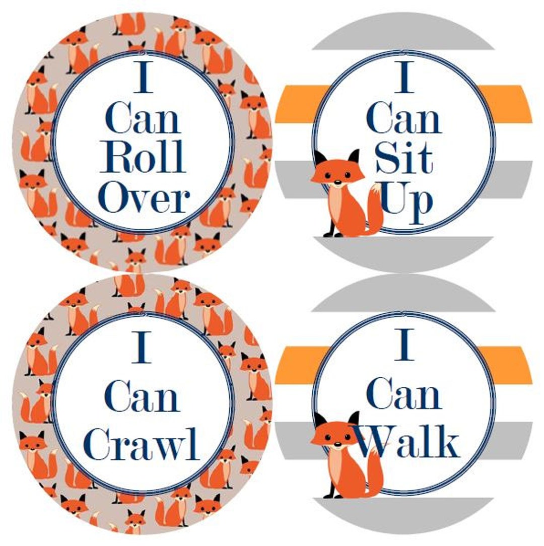 Baby 1st First MILESTONES Monthly Growth Stickers Fox Orange Grey