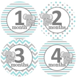Baby maandelijkse mijlpaal groei Stickers Aqua grijs witte olifant kinderkamer thema MS260 Baby Boy Girl douche cadeau Baby Foto Prop