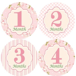 Maandelijkse mijlpaal groei Stickers Shabby elegantie Floral Bloemen licht roze Girl kinderkamer thema MS410 Baby douche Gift lichtrose