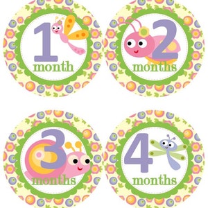 Maandelijkse mijlpaal groei Stickers Girly schattig Bug Bugs kinderwagen in roze groen lavendel MS837 Girl kinderkamer thema Baby douche Gift foto Prop