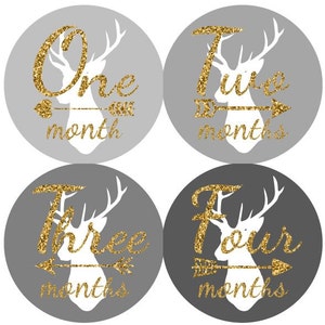 Baby maandelijkse mijlpaal groei Stickers Gold Glitter grijze houtskool Ombre Tribal herten pijlen kinderkamer thema MS807 Baby douche Gift foto Prop