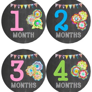 Baby maandelijkse mijlpaal groei Stickers schoolbord bloemen bloementuin partij MS839 Baby Girl kinderkamer thema Baby douche cadeau Baby Foto Prop