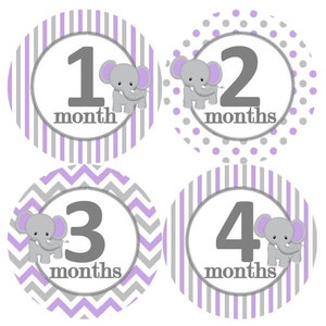 Baby maandelijkse mijlpaal groei Stickers grijs lavendel witte olifant kinderkamer thema MS249 Baby Boy Girl douche cadeau Baby Foto Prop