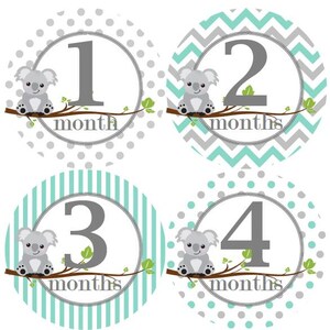 Baby maandelijkse mijlpaal groei Stickers Aqua met grijze Koalas Baby Nursery thema MS574 Baby douche cadeau Baby Foto Prop