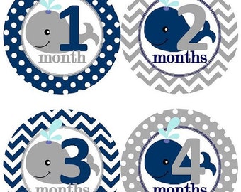 Baby Monthly Milestone Growth Stickers Navy Grey Whale Nursery Theme MS601 Baby Shower Gift Baby Photo Prop