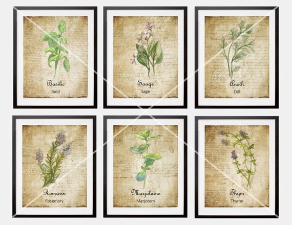 6 French Country Herbes de Provence Watercolor Herb Botanicals Spices Prints French Script Kitchen Dining Room Gallery Wall Art decor