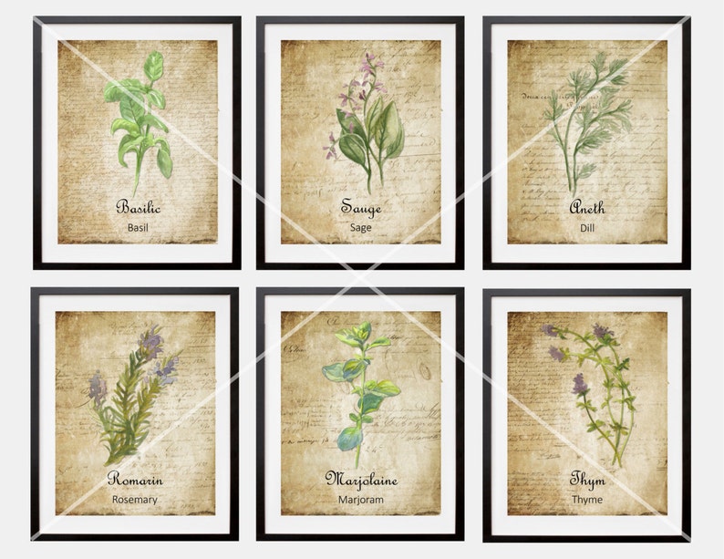 May include: Set of six vintage-style botanical prints featuring illustrations of herbs, including basil, sage, dill, rosemary, marjoram, and thyme. Each print has a brown background with handwritten text and the herb's name in French and English.
