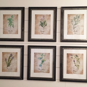 May include: Six framed prints of different herbs, each with a watercolor illustration and the herb's name and common name. The frames are black with a silver-colored trim.