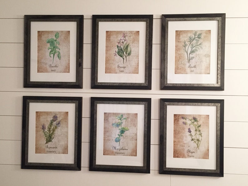 May include: Six framed prints of different herbs, each with a watercolor illustration and the herb's name and common name. The frames are black with a silver-colored trim.