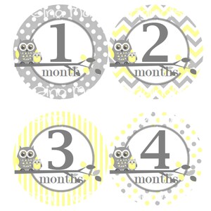 Baby maandelijkse mijlpaal groei Stickers in geel grijs uilen MS301 kwekerij thema Baby douche cadeau Baby Foto Prop