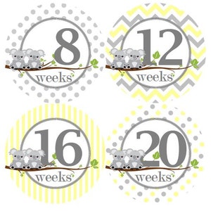 TWEELING zwangerschap mijlpaal Stickers geel grijs Koalas zwangerschap buik Stickers MS815 moederschap foto Prop douche Gift zwangerschap aankondiging