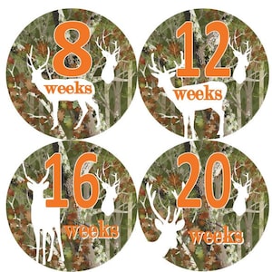 Zwangerschap per groei Stickers oranje Camo witte herten silhouetten MS501 Baby Boy douche Gift kwekerij Baby jacht Hunter bomen