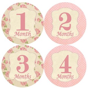 Maandelijkse mijlpaal groei Stickers Shabby elegantie Floral Bloemen Vintage roze Tan Girl kinderkamer thema MS411 Baby douche Gift lichtrose