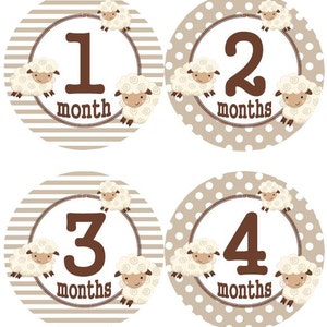 Baby maandelijkse mijlpaal groei Stickers Beige Tan Brown Lamb Nursery thema MS569 Baby Boy Girl douche cadeau Baby Foto Prop