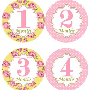 Baby maandelijkse mijlpaal groei Stickers Shabby elegantie Floral Bloemen roze en gele MS409 Girl kinderkamer thema Baby douche Gift roze geel