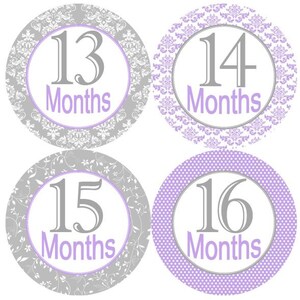 Baby 2e tweede jaar 13-24 Maandelijkse Mijlpaal Groei Stickers Shabby Elegance Lavendel Grijselaafzeling Grijsvendel