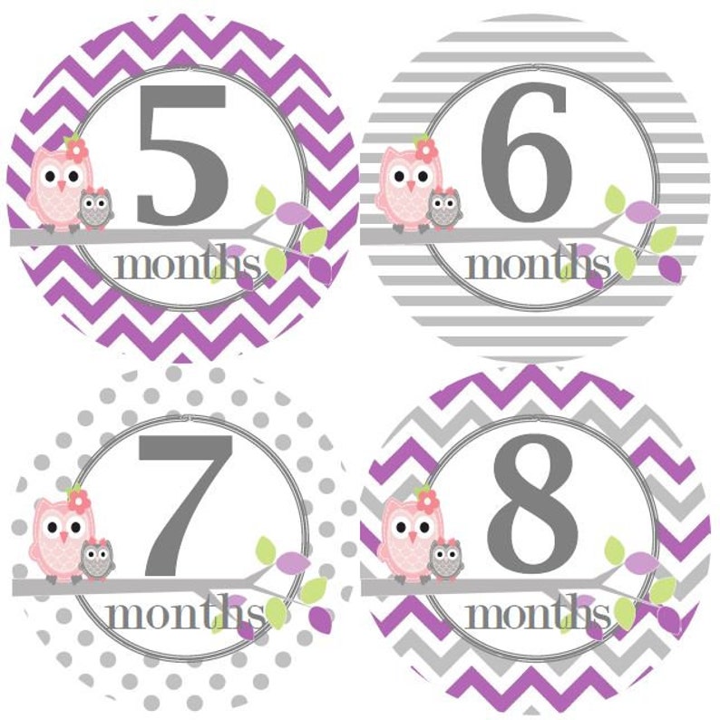 Baby Monthly Milestone Growth Stickers in Pink Purple Grey Owls MS327 Nursery Theme Baby Shower Gift Baby Photo Prop