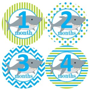 Baby maandelijkse mijlpaal groei Stickers Lime blauwe haaien onderwater zee oceaan leven nautische MS903 kwekerij thema Baby Shower