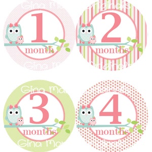 Baby maandelijkse mijlpaal groei Stickers in turkoois roze groene uilen kinderkamer thema MS308 Baby douche cadeau Baby Foto Prop