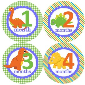 Maandelijkse mijlpaal groei Stickers Boy dinosaurus baby blauw groen oranje MS980 kwekerij thema Baby douche cadeau Baby Foto Prop Gift van Kerstmis