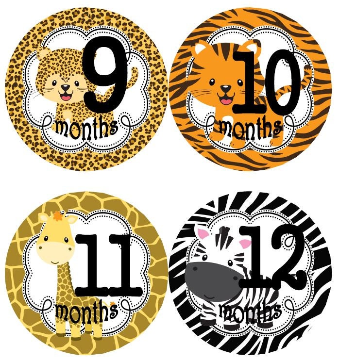 Baby Memorial Month Stickers Monthly Record Cartoon Animal Floral Print  Stickers