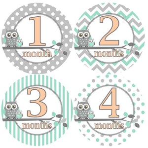 Baby maandelijkse mijlpaal groei Stickers in Mint perzik grijs uilen kinderkamer thema MS Baby Boy douche cadeau Baby Foto Prop