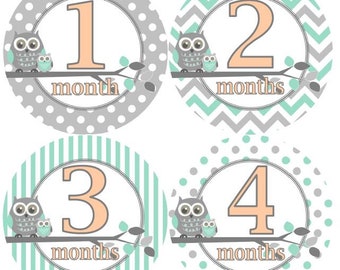 Baby Monthly Milestone Growth Stickers in Mint Peach Grey Owls Nursery Theme MS Baby Boy Shower Gift Baby Photo Prop