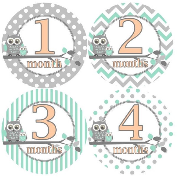 Baby Monthly Milestone Growth Stickers in Mint Peach Grey Owls Nursery Theme MS Baby Boy Shower Gift Baby Photo Prop