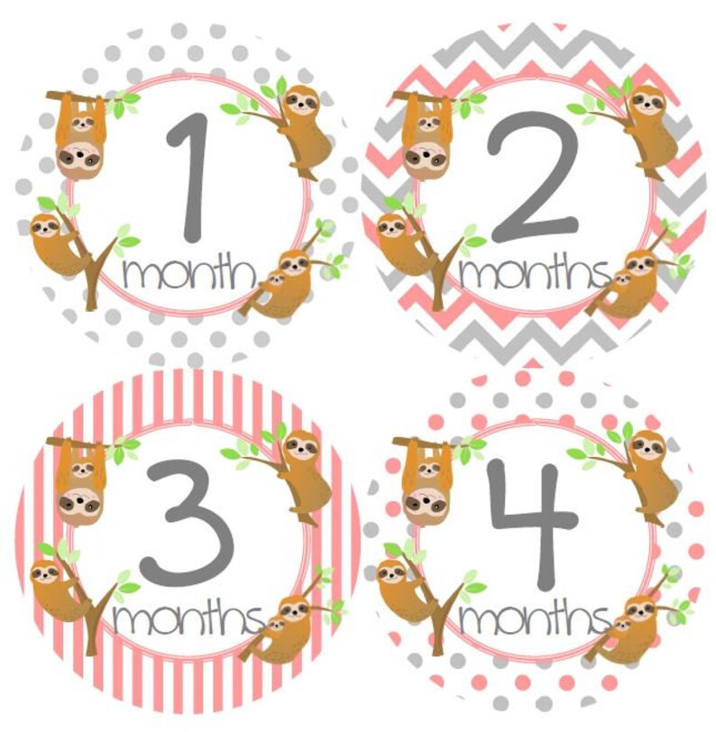 May include: Four round baby milestone stickers with pink and gray patterns. Each sticker features a sloth holding onto a branch with the number 1 through 4 and the words "month" or "months".