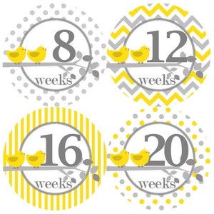 TWEELING jongen meisje Gender neutraal zwangerschap mijlpaal Stickers geel grijs Baby kuikens zwangerschap buik Stickers MS886 moederschap douchegift