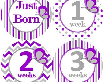 Baby Monthly Milestone Growth Stickers Butterflies Purple Grey Nursery Theme Baby Shower Gift Baby Photo Prop