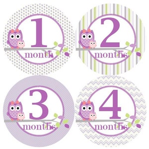 Baby maandelijkse mijlpaal groei Stickers in lavendel groen grijs uilen MS302 kwekerij thema Baby douche cadeau Baby Foto Prop