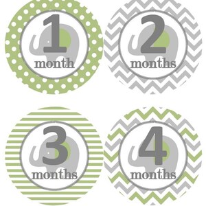 Baby maandelijkse mijlpaal groei Stickers Mossy Sage groen grijze olifant kinderkamer thema MS221 Baby douche cadeau Baby Foto Prop