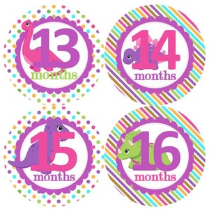 2e tweede jaar 13-24 Baby maandelijkse mijlpaal groei Stickers meisjes in roze paars dinosaurus Girly MS513 kwekerij thema Baby douche Gift