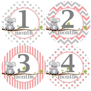 Baby maandelijkse mijlpaal groei Stickers licht roze grijs Koalas Baby Nursery thema Baby douche Gift MS968 Baby Foto Prop