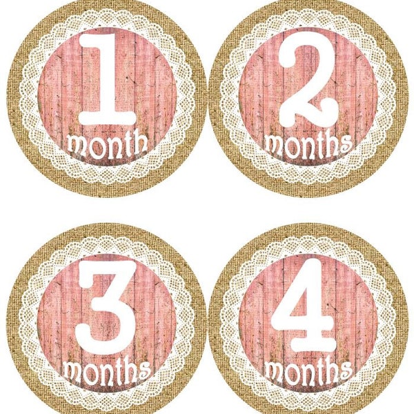 Baby Monthly Milestone Growth Stickers Burlap White Lace Pink Driftwood Shabby Elegance MS500 Baby Girl Nursery Theme Shower Gift Photo Prop