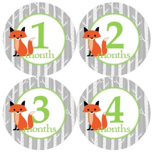 Baby maandelijkse mijlpaal groei Stickers Fox berken bomen grijs groen Woodland woud rustieke kinderkamer thema MS971 Baby douche Gift foto Prop