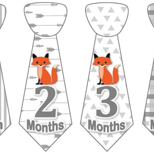 Baby maandelijkse mijlpaal groei Stickers Onbesneden Boy banden Baby grijs Fox Tribal MS957 kwekerij thema Baby Boy Fox douche cadeau Baby Foto Prop