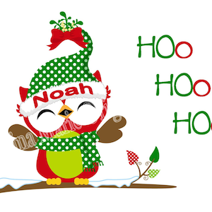10 personalizada de búho tarjetas de Navidad niño niña niños tarjetas de Navidad de los niños estudiantes o le agradece las tarjetas - elección de 3 mensajes