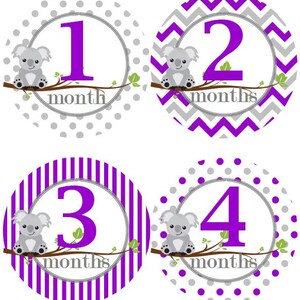 Baby maandelijkse mijlpaal groei Stickers paars grijs Koalas Baby Nursery thema MS871 Baby douche cadeau Baby Foto Prop