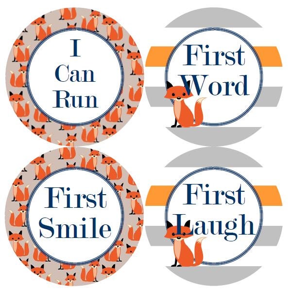 Baby 1st First MILESTONES Monthly Growth Stickers Fox Orange Grey