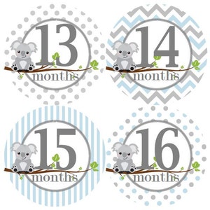 Baby 2e tweede jaar 13-24 maandelijkse mijlpaal groei Stickers Baby blauw met grijs Koalas MS508 Baby Nursery thema Baby douche Gift foto Prop